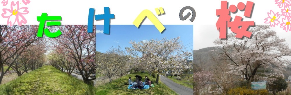 たけべの桜