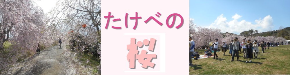 たけべの桜