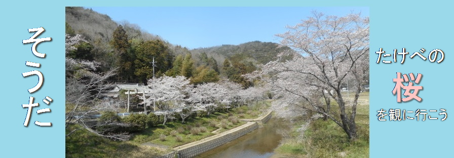 たけべの桜