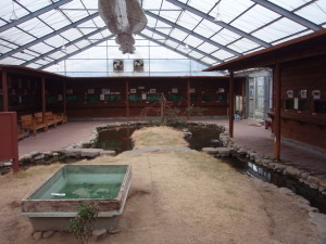 淡水魚水族館