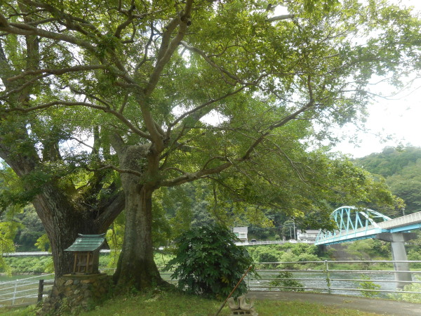 建部暑中お見舞い