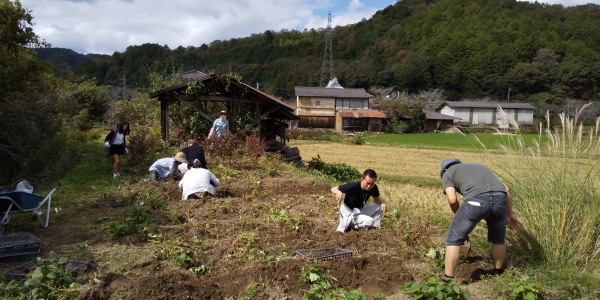 ほったらかし農園