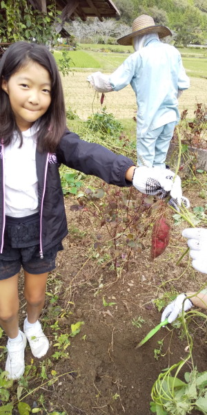 ほったらかし農園