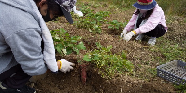 ほったらかし農園