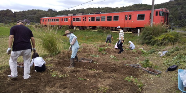 ほったらかし農園