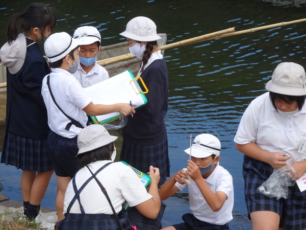 建部小学校田地子川