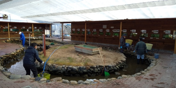 春の小川大掃除