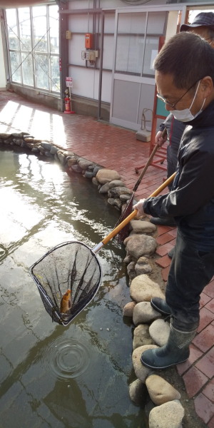 春の小川大掃除