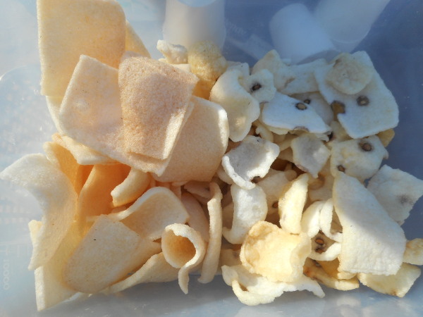 里山建部仕事始め