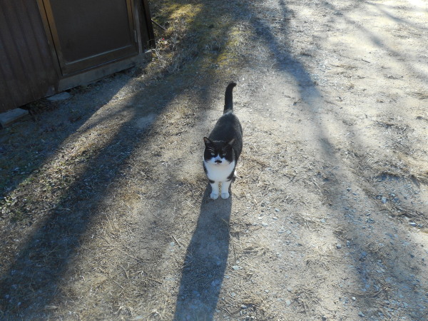 里山建部仕事始め