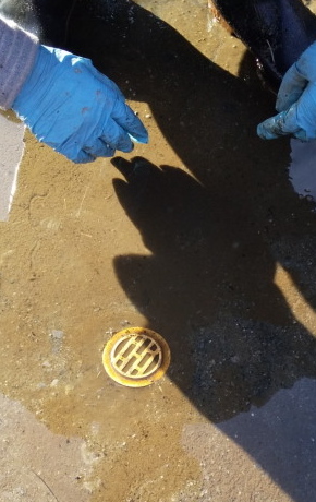 春の小川クリーン作戦Ⅱ