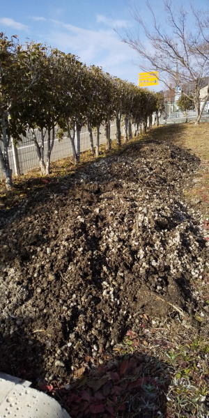 春の小川クリーン作戦Ⅱ