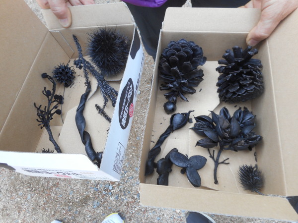 環境フォーラム