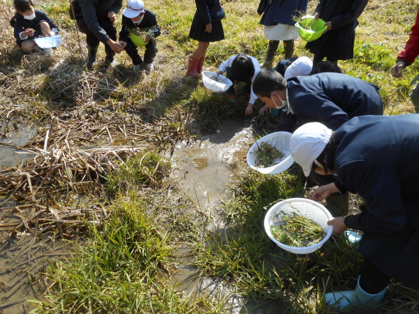 水辺の楽校