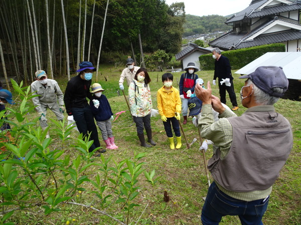 タケノコ掘り