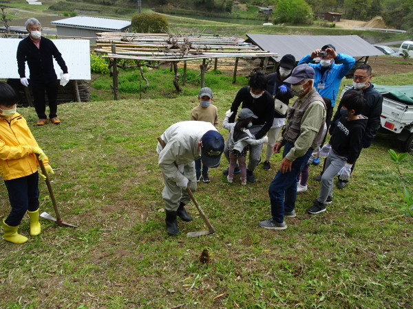 タケノコ掘り