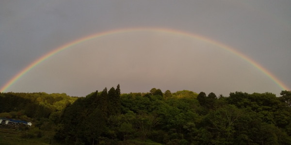 ゴールデンウイーク