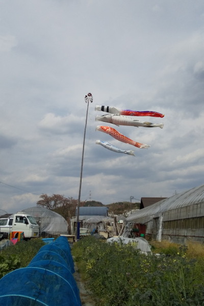 ゴールデンウイーク