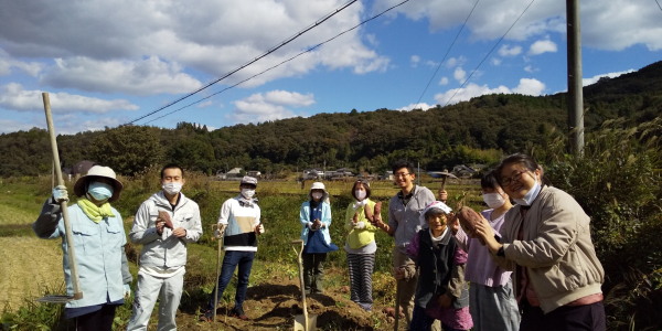 芋掘り