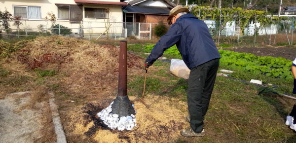 建部小学校芋掘り