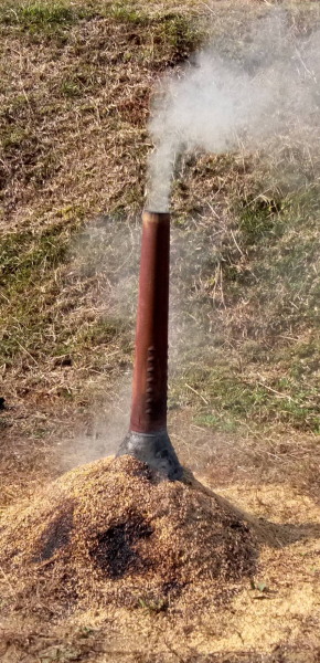 建部小学校芋掘り