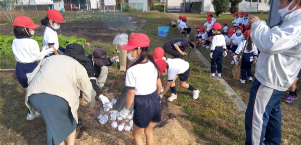 建部小学校芋掘り