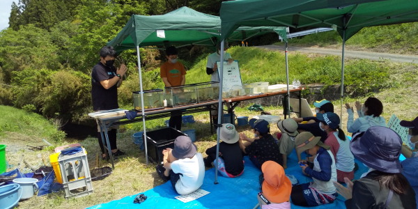 大井手用水魚とり