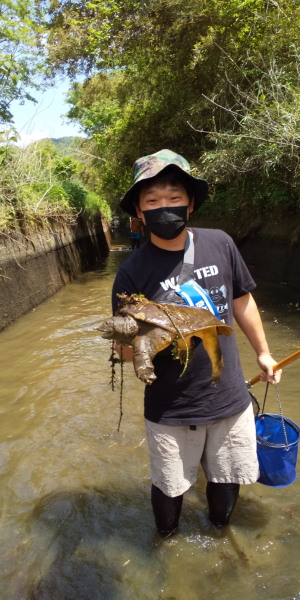 大井手用水魚とり