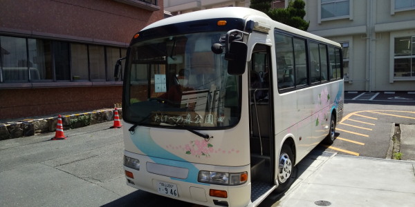 アジサイを観たくて