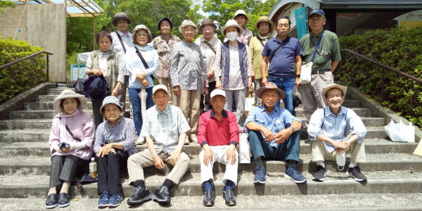 アジサイを観たくて