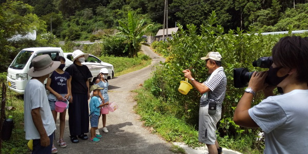 ブルーベリー摘み