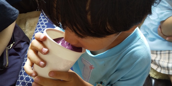 ブルーベリー摘み