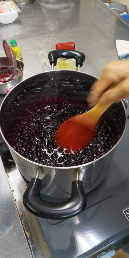 ブルーベリー摘み