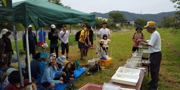 田地子川の魚とり