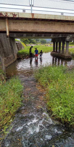田地子川の魚とり