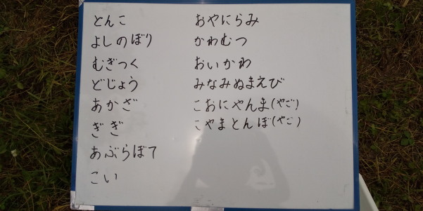 田地子川の魚とり