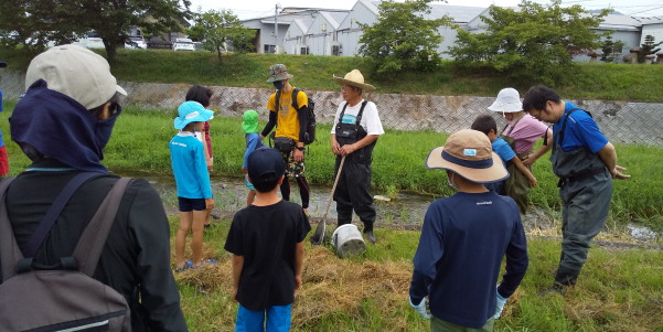 田地子川の魚とり