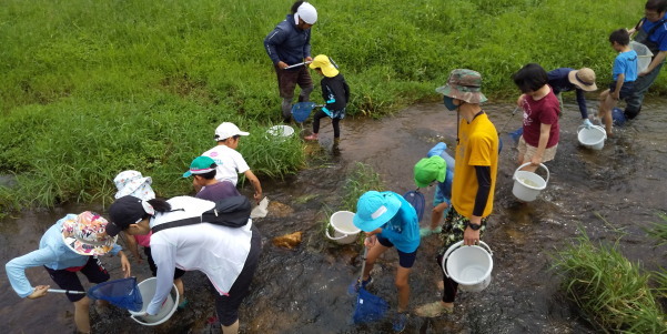 田地子川の魚とり