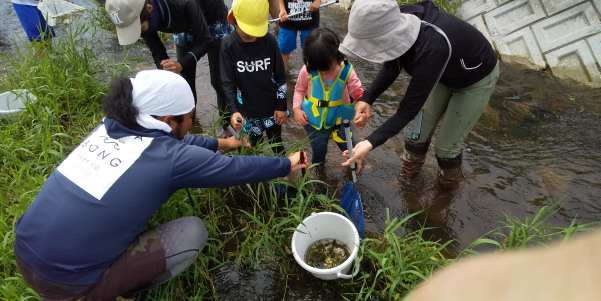 田地子川の魚とり