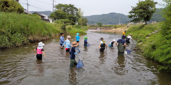田地子川の魚とり