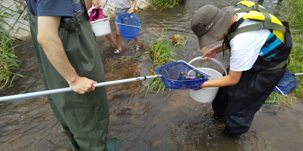 田地子川の魚とり