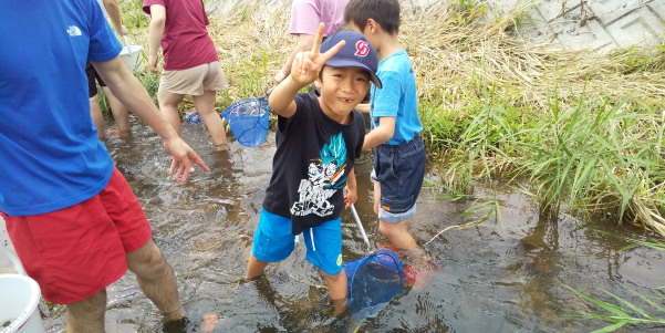 田地子川の魚とり
