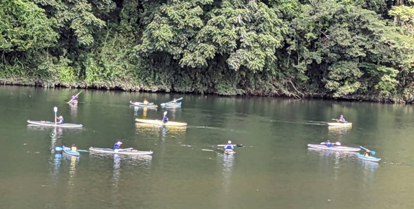 サマースクール