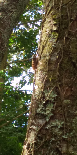 第2回サマースクール開校