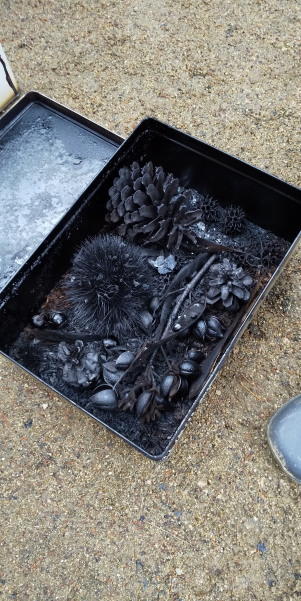 環境フォーラム2024