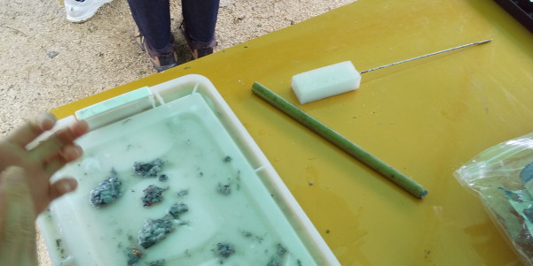 環境フォーラム2024