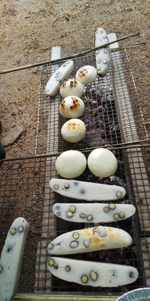 環境フォーラム2024