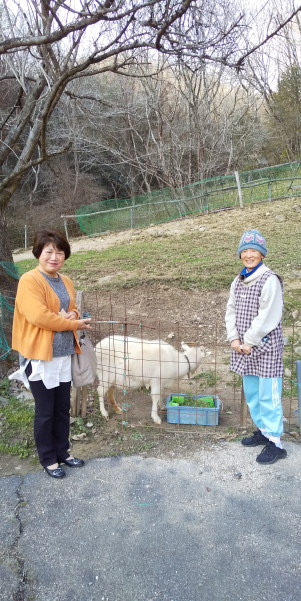 フェルメール展