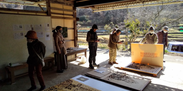 フェルメール展