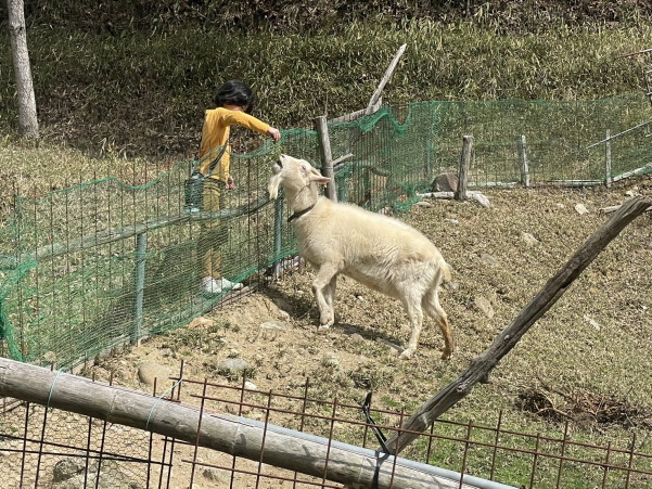 フェルメール展